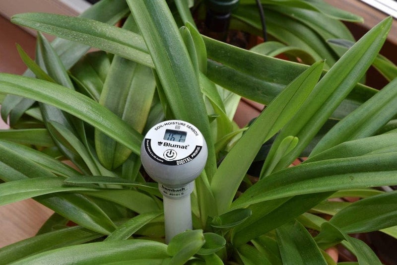 Blumat Moisture Meter for Plants - Accurate Soil Moisture Meter - Easy to Use Advanced Water Meter for Gardening (Moisture Meter with Cap) - Image 2